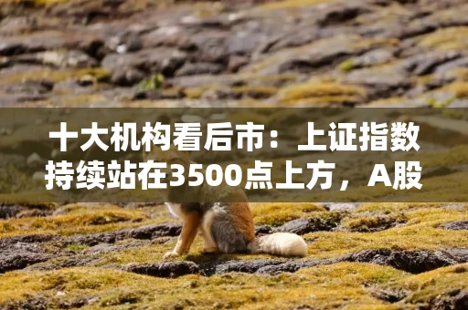 十大机构看后市：上证指数持续站在3500点上方，A股运行中枢有望迈上新台阶