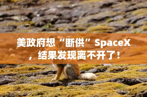 美政府想“断供”SpaceX，结果发现离不开了！