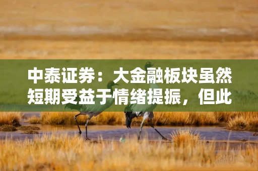 中泰证券：大金融板块虽然短期受益于情绪提振，但此时并不适宜盲目追高
