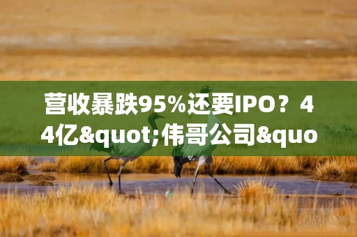 营收暴跌95%还要IPO？44亿"伟哥公司"背后的估值游戏