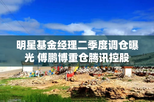 明星基金经理二季度调仓曝光 傅鹏博重仓腾讯控股