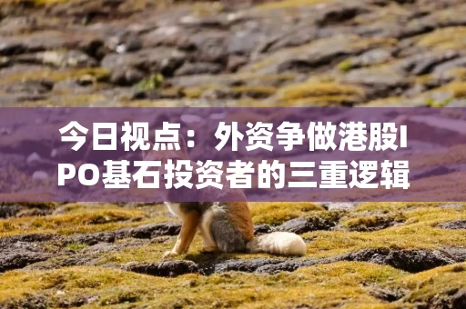 今日视点：外资争做港股IPO基石投资者的三重逻辑
