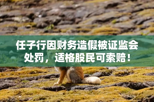 任子行因财务造假被证监会处罚，适格股民可索赔！