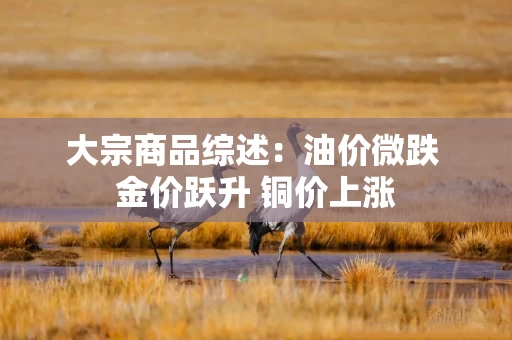 大宗商品综述：油价微跌 金价跃升 铜价上涨