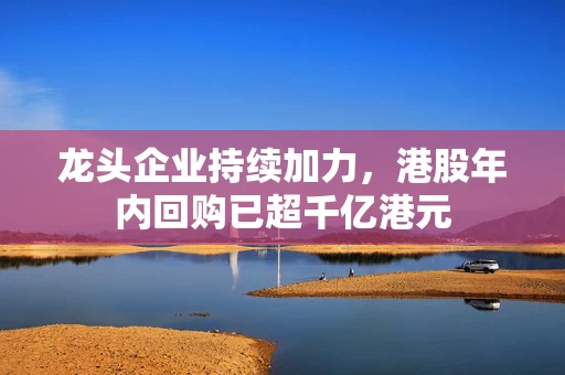 龙头企业持续加力，港股年内回购已超千亿港元