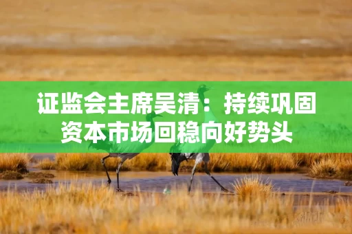证监会主席吴清：持续巩固资本市场回稳向好势头