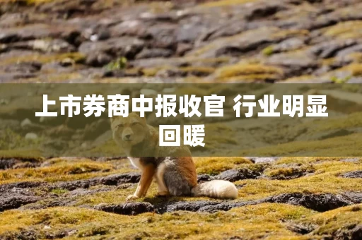 上市券商中报收官 行业明显回暖