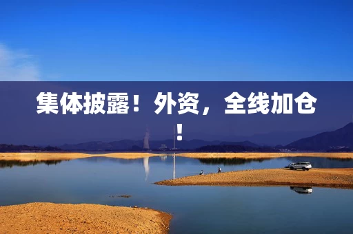 集体披露！外资，全线加仓！