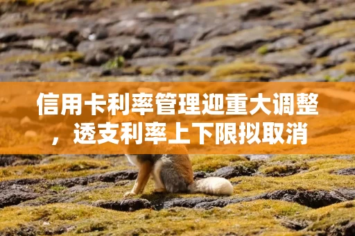 信用卡利率管理迎重大调整，透支利率上下限拟取消