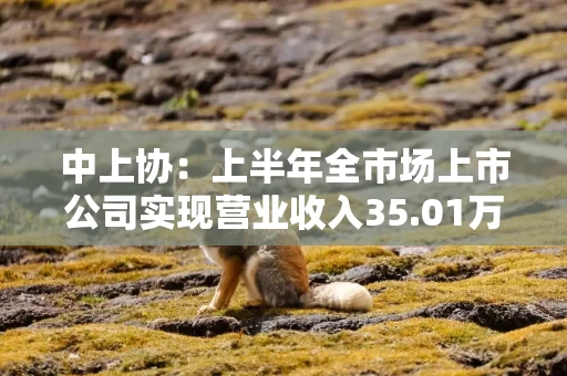 中上协：上半年全市场上市公司实现营业收入35.01万亿元，分红回购规模再创新高