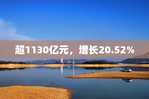 超1130亿元，增长20.52%