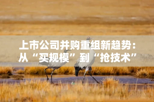 上市公司并购重组新趋势：从“买规模”到“抢技术”