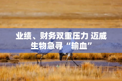 业绩、财务双重压力 迈威生物急寻“输血”