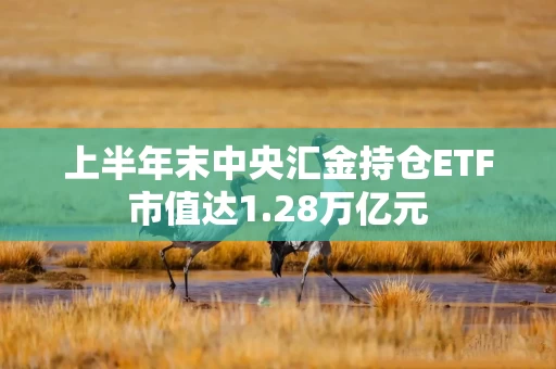 上半年末中央汇金持仓ETF市值达1.28万亿元