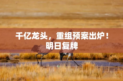 千亿龙头，重组预案出炉！明日复牌