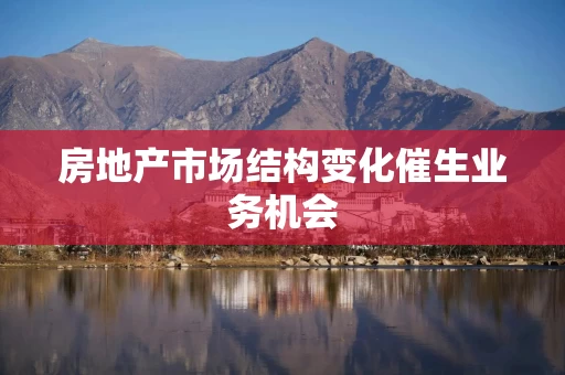 房地产市场结构变化催生业务机会