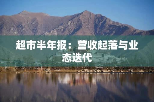 超市半年报：营收起落与业态迭代