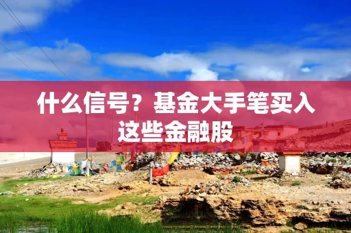 什么信号？基金大手笔买入这些金融股