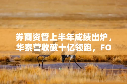 券商资管上半年成绩出炉，华泰营收破十亿领跑，FOF赛道成权益破局“胜负手”