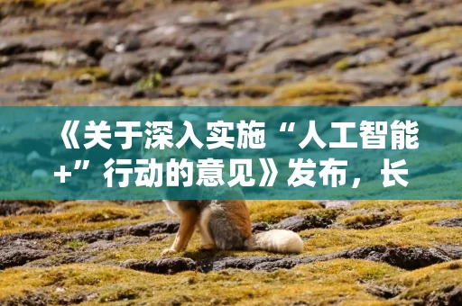 《关于深入实施“人工智能+”行动的意见》发布，长城基金刘疆的专业解读来了！