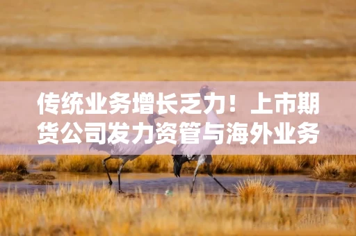 传统业务增长乏力！上市期货公司发力资管与海外业务