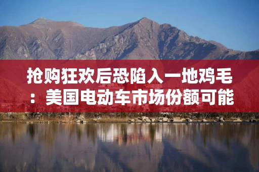 抢购狂欢后恐陷入一地鸡毛：美国电动车市场份额可能即将腰斩！