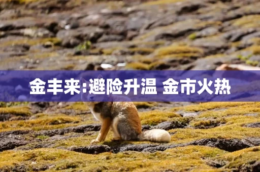 金丰来:避险升温 金市火热
