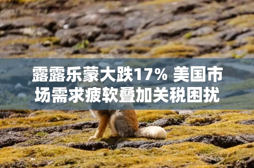 露露乐蒙大跌17% 美国市场需求疲软叠加关税困扰