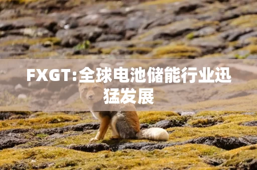FXGT:全球电池储能行业迅猛发展
