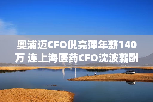 奥浦迈CFO倪亮萍年薪140万 连上海医药CFO沈波薪酬一半都不到 | 上海地区生物医药行业CFO薪酬榜