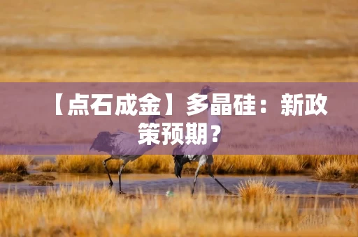 【点石成金】多晶硅：新政策预期？