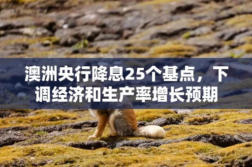 澳洲央行降息25个基点，下调经济和生产率增长预期