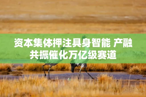 资本集体押注具身智能 产融共振催化万亿级赛道