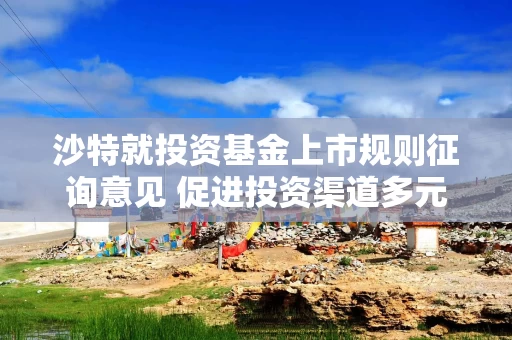 沙特就投资基金上市规则征询意见 促进投资渠道多元化规范化