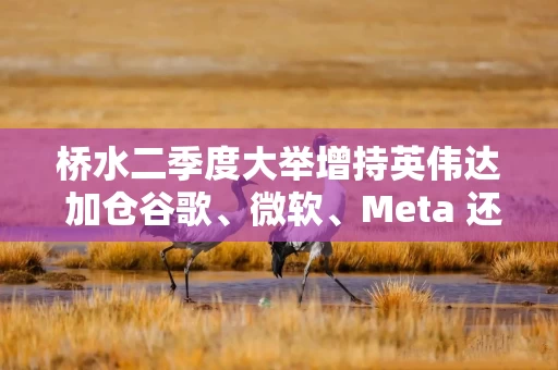 桥水二季度大举增持英伟达 加仓谷歌、微软、Meta 还清仓了这些中概股！上商天信息网财经看桥水持仓最新进展