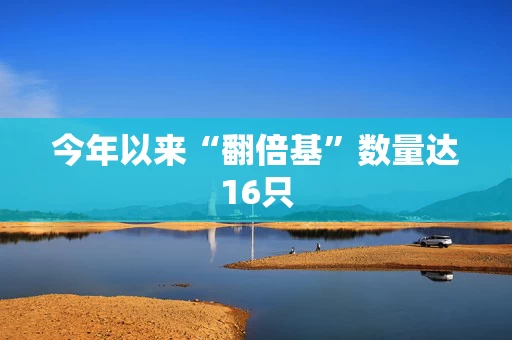 今年以来“翻倍基”数量达16只
