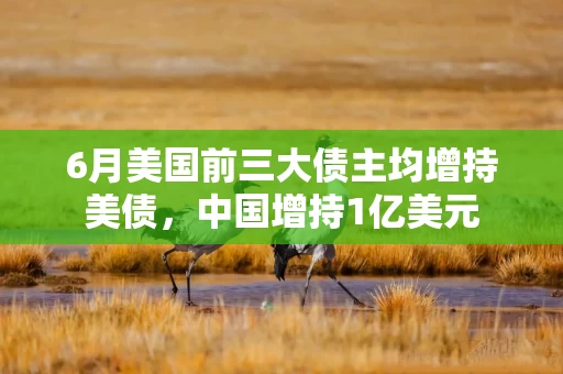 6月美国前三大债主均增持美债，中国增持1亿美元