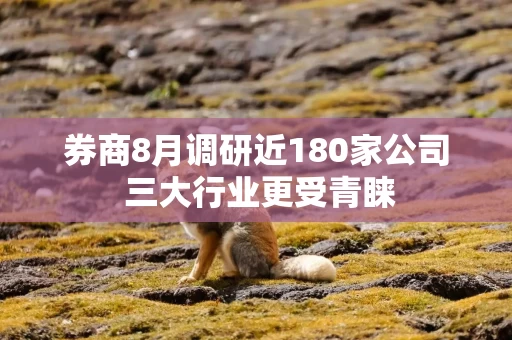 券商8月调研近180家公司 三大行业更受青睐