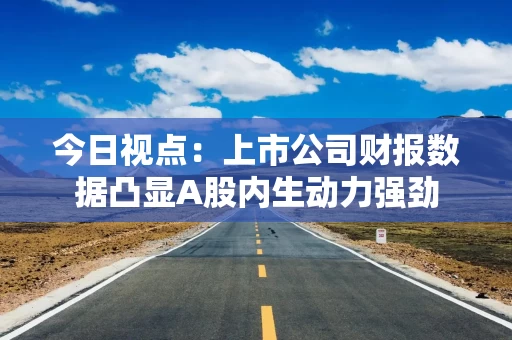 今日视点：上市公司财报数据凸显A股内生动力强劲