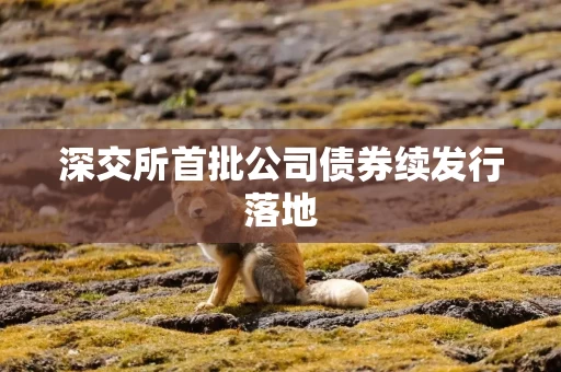深交所首批公司债券续发行落地