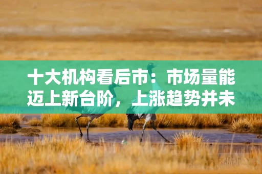 十大机构看后市：市场量能迈上新台阶，上涨趋势并未打破，慢牛持续聚焦成长和补涨