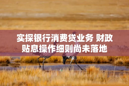 实探银行消费贷业务 财政贴息操作细则尚未落地