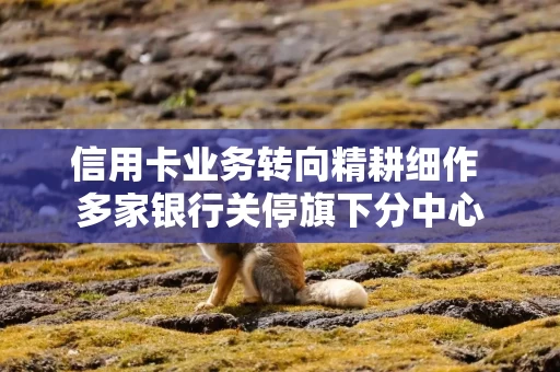 信用卡业务转向精耕细作 多家银行关停旗下分中心