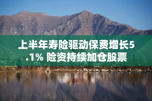 上半年寿险驱动保费增长5.1% 险资持续加仓股票