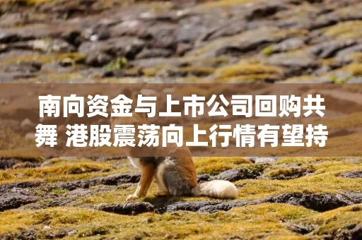 南向资金与上市公司回购共舞 港股震荡向上行情有望持续