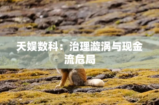 天娱数科：治理漩涡与现金流危局