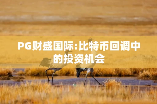 PG财盛国际:比特币回调中的投资机会