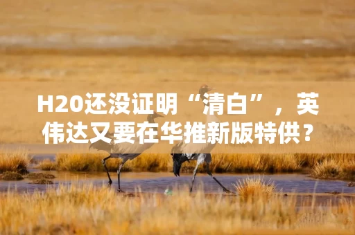 H20还没证明“清白”，英伟达又要在华推新版特供？