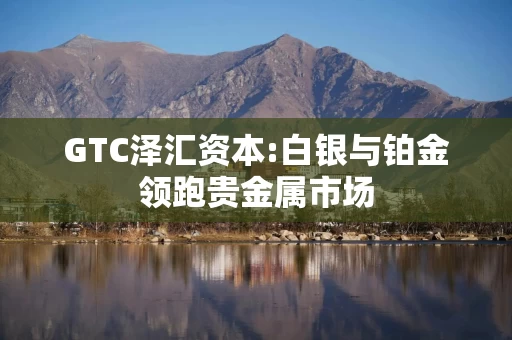 GTC泽汇资本:白银与铂金领跑贵金属市场