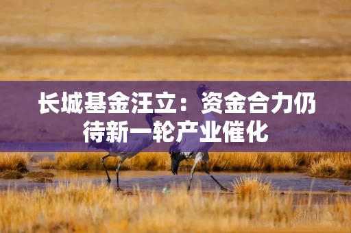 长城基金汪立：资金合力仍待新一轮产业催化